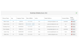 A template, demonstrating a jquery Edtiable Grid component