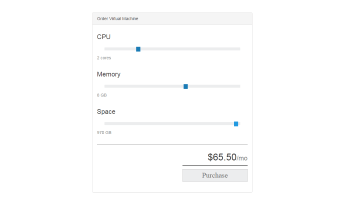 A template, demonstrating a configuration tool for a server