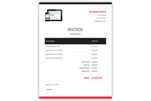 Professional Business Invoice Template