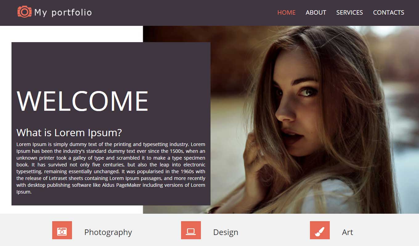 Professional Portfolio - Professional Portfolio theme